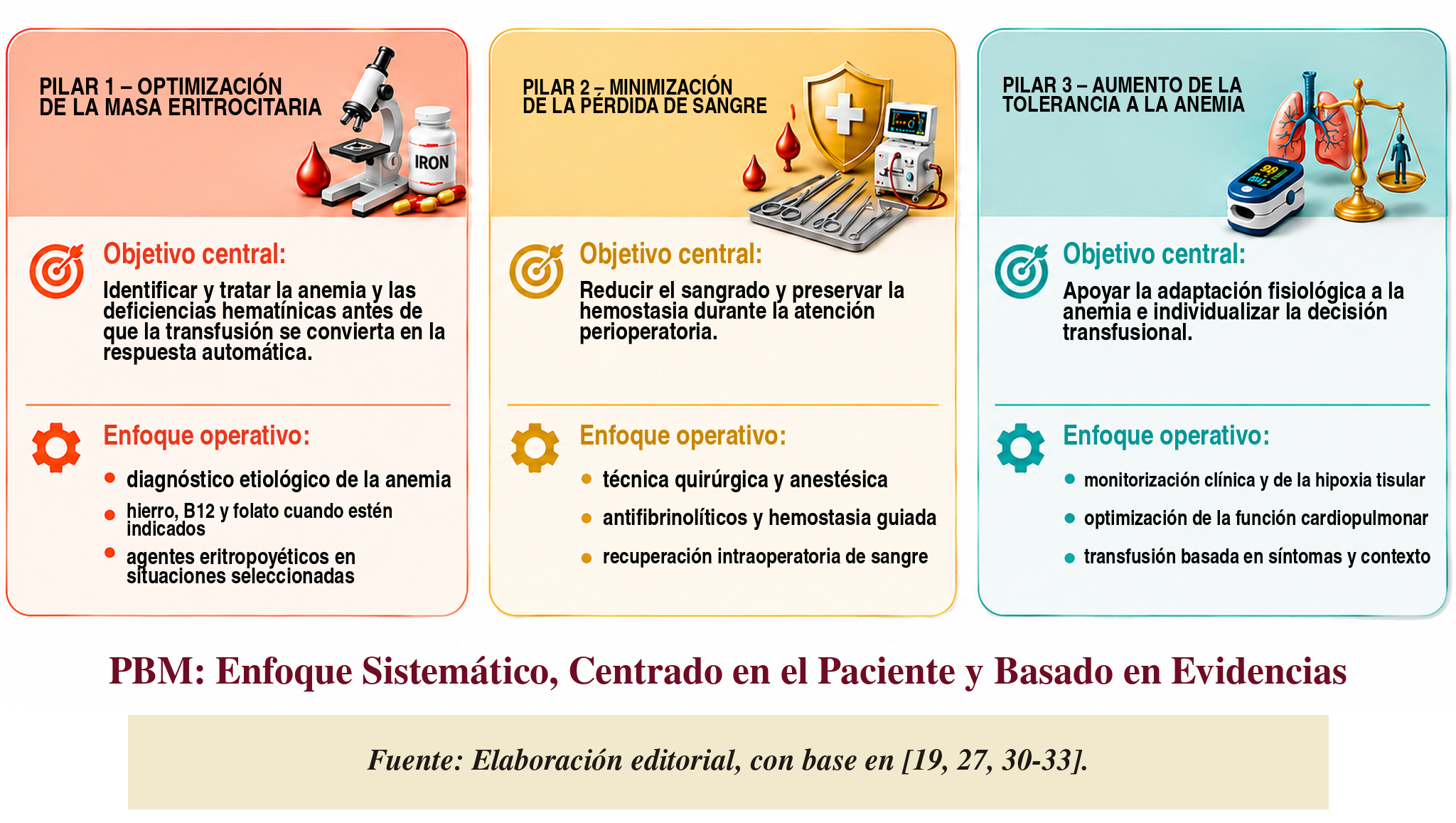 Los tres pilares del Patient Blood Management: optimización de la masa eritrocitaria, minimización de la pérdida de sangre y optimización de la tolerancia fisiológica a la anemia